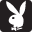 Playboy Magazines